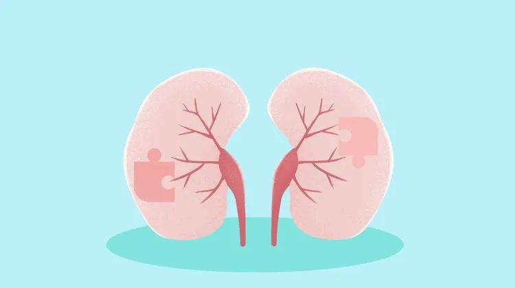 無往不“腎” ，廣濟醫院腎内科仁術仁心